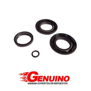 KIT DE DIRECCION HIDRAULICA KIA RIO 03  STYLUS