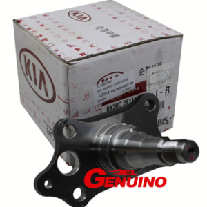 KIA RIO POST RH     ARA?A PUNTA EJE