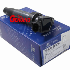 HYUNDAI TUCSON IX SANTA FE 2.4 10  SPORTAGE R     BOBINA