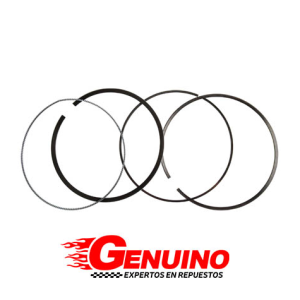 RINES CHEVROLET GRAND VITARA V6 2.7 /2 H27 SZ 2.7