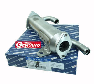 HYUNDAI SANTA FE 2.2 DSL ENFRIADOR EGR     SENSOR EGR/CUERPO ACER/VAL CVVT