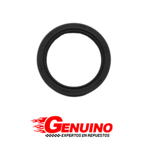 RETENEDOR DISTRIBUCION HYUNDAI TUCSON IX SANTA FE 2.4