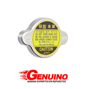 TAPA DE RADIADOR HYUNDAI TODOS