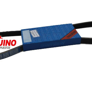 NISSAN SENTRA B13 16V D/H     BANDA MULTIPLE ACANALADA